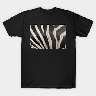 Zebra Print 2 T-Shirt